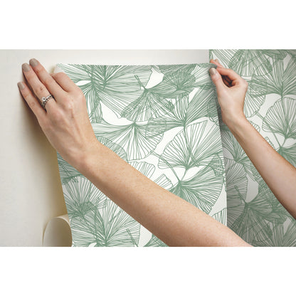 York Wallcoverings RoomMates Ginkgo Leaves Green Peel and Stick Wallpaper Modern Botanical Greens  Wallpaper - RMK11603WP