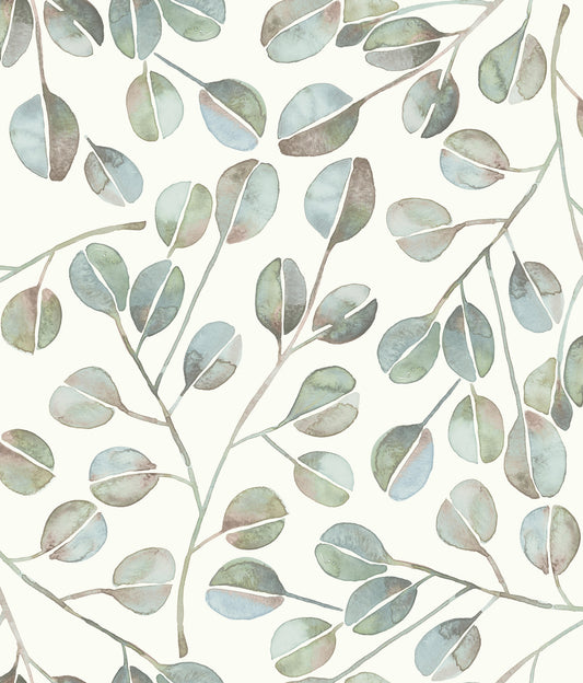 York Wallcoverings RoomMates Cat Coquillette Eucalyptus Green Peel and Stick Wallpaper Modern Botanical Blues  Wallpaper - RMK11629WP