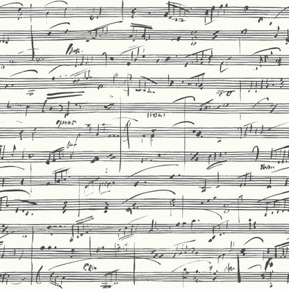 York Wallcoverings RoomMates Melody Black Peel and Stick Wallpaper Whimsical Global Blacks  Wallpaper - RMK11651WP