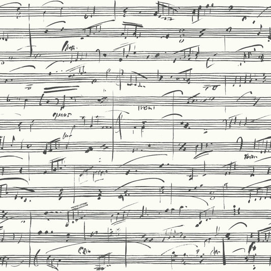 York Wallcoverings RoomMates Melody Black Peel and Stick Wallpaper Whimsical Global Blacks  Wallpaper - RMK11651WP