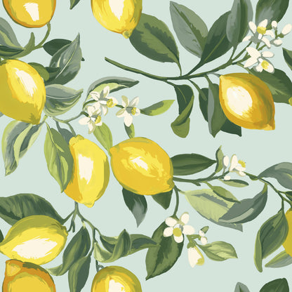 York Wallcoverings RoomMates Lemon Zest Yellow Peel and Stick Wallpaper Kitchen and Bath Food and Drink Yellows  Wallpaper - RMK11656WP