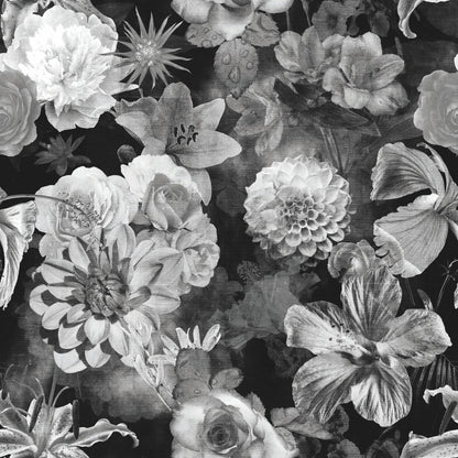 York Wallcoverings RoomMates Vintage Floral Blooms Black Peel and Stick Wallpaper Vintage Botanical Blacks  Wallpaper - RMK11718RL