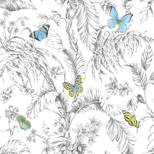York Wallcoverings RoomMates Butterfly Sketch Yellow Peel and Stick Wallpaper Whimsical Botanical Yellows  Wallpaper - RMK11823WP