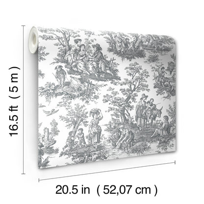 York Wallcoverings RoomMates Country Life Toile Grey Peel and Stick Wallpaper Country Global Greys  Wallpaper - RMK11869WP