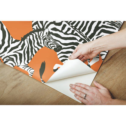 York Wallcoverings RoomMates Herd Together Orange Peel and Stick Wallpaper Traditional  Oranges  Wallpaper - RMK11875RL