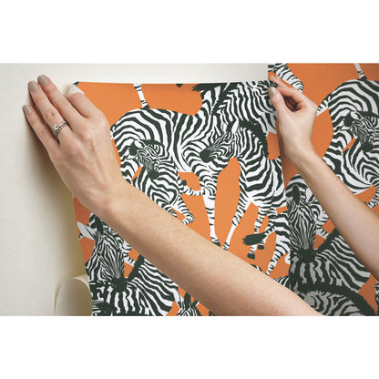 York Wallcoverings RoomMates Herd Together Orange Peel and Stick Wallpaper Traditional  Oranges  Wallpaper - RMK11875RL