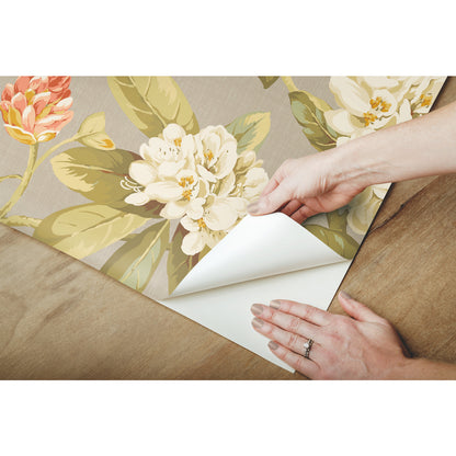 York Wallcoverings RoomMates Live Artfully Taupe Peel and Stick Wallpaper Traditional Nature Neutrals  Wallpaper - RMK11883RL