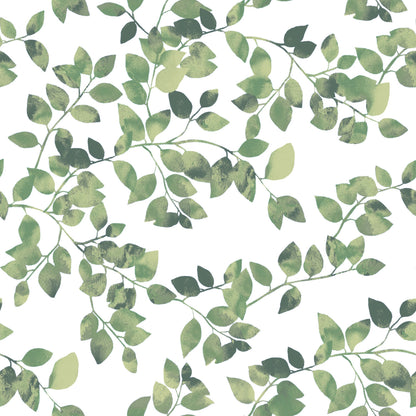 York Wallcoverings RoomMates Latvus Green Peel and Stick Wallpaper Modern Botanical Greens  Wallpaper - RMK11946WP (DISCONTINUED PATTERN)
