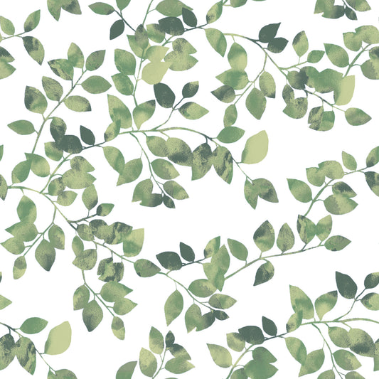 York Wallcoverings RoomMates Latvus Green Peel and Stick Wallpaper Modern Botanical Greens  Wallpaper - RMK11946WP (DISCONTINUED PATTERN)