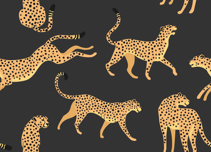 York Wallcoverings RoomMates Cheetah Cheetah Orange Peel and Stick Wallpaper Whimsical  Oranges  Wallpaper - RMK11986RL