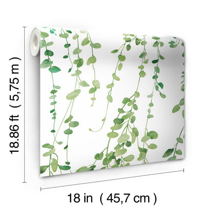 York Wallcoverings RoomMates Hanging Watercolor Vines Green Peel and Stick Wallpaper Modern Botanical Greens  Wallpaper - RMK12060RL
