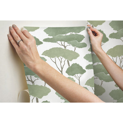 York Wallcoverings RoomMates Umbrella Pines Green Peel and Stick Wallpaper Whimsical Botanical Greens  Wallpaper - RMK12064WP