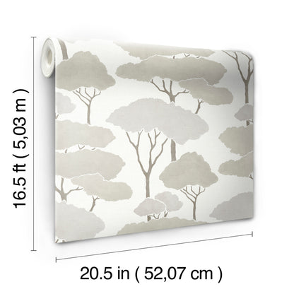 York Wallcoverings RoomMates Umbrella Pines Brown Peel and Stick Wallpaper Whimsical Botanical Browns  Wallpaper - RMK12065WP