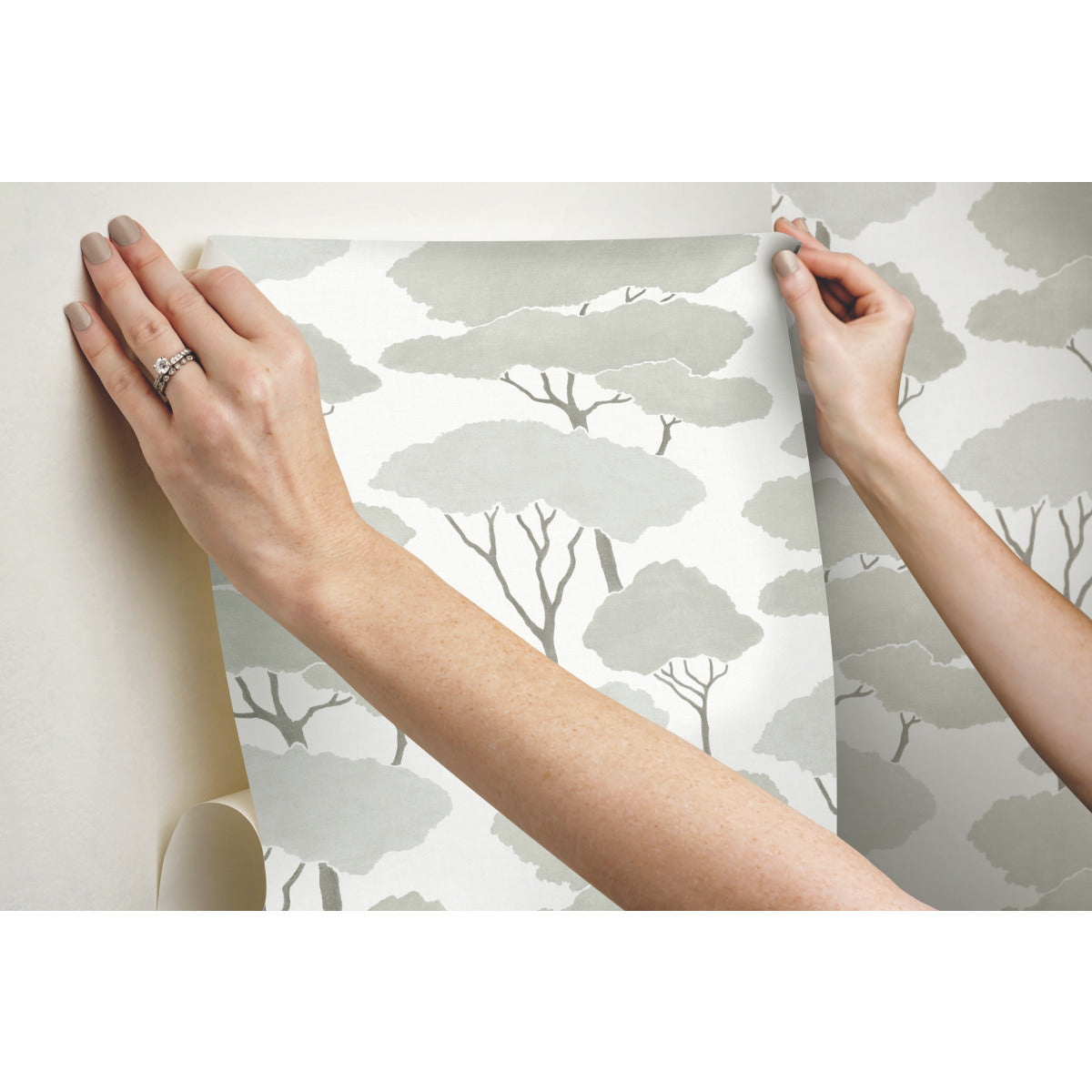 York Wallcoverings RoomMates Umbrella Pines Brown Peel and Stick Wallpaper Whimsical Botanical Browns  Wallpaper - RMK12065WP