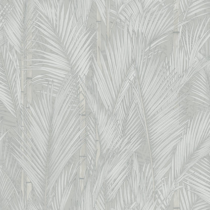 York Wallcoverings RoomMates Swaying Fronds Grey Peel and Stick Wallpaper Tropical Botanical Greys  Wallpaper - RMK12102WP