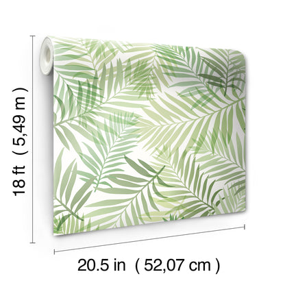 York Wallcoverings RoomMates Tropical Vibe Green Peel and Stick Wallpaper Tropical Botanical Greens  Wallpaper - RMK12188PLW