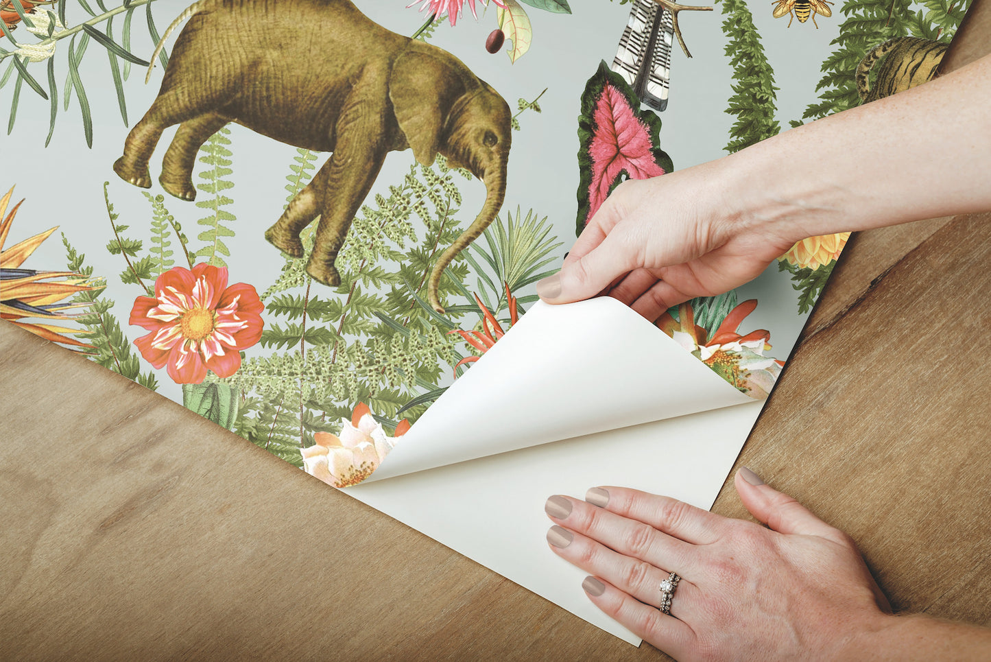 York Wallcoverings RoomMates Tropical Zoo Green Peel and Stick Wallpaper Tropical Botanical Greens  Wallpaper - RMK12202WP