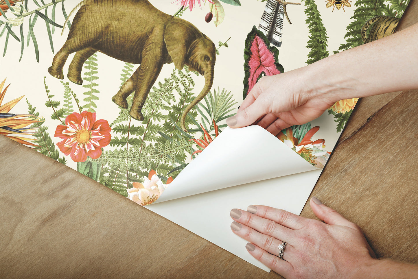 York Wallcoverings RoomMates Tropical Zoo Green Peel and Stick Wallpaper Tropical Botanical Greens  Wallpaper - RMK12239WP (DISCONTINUED PATTERN)