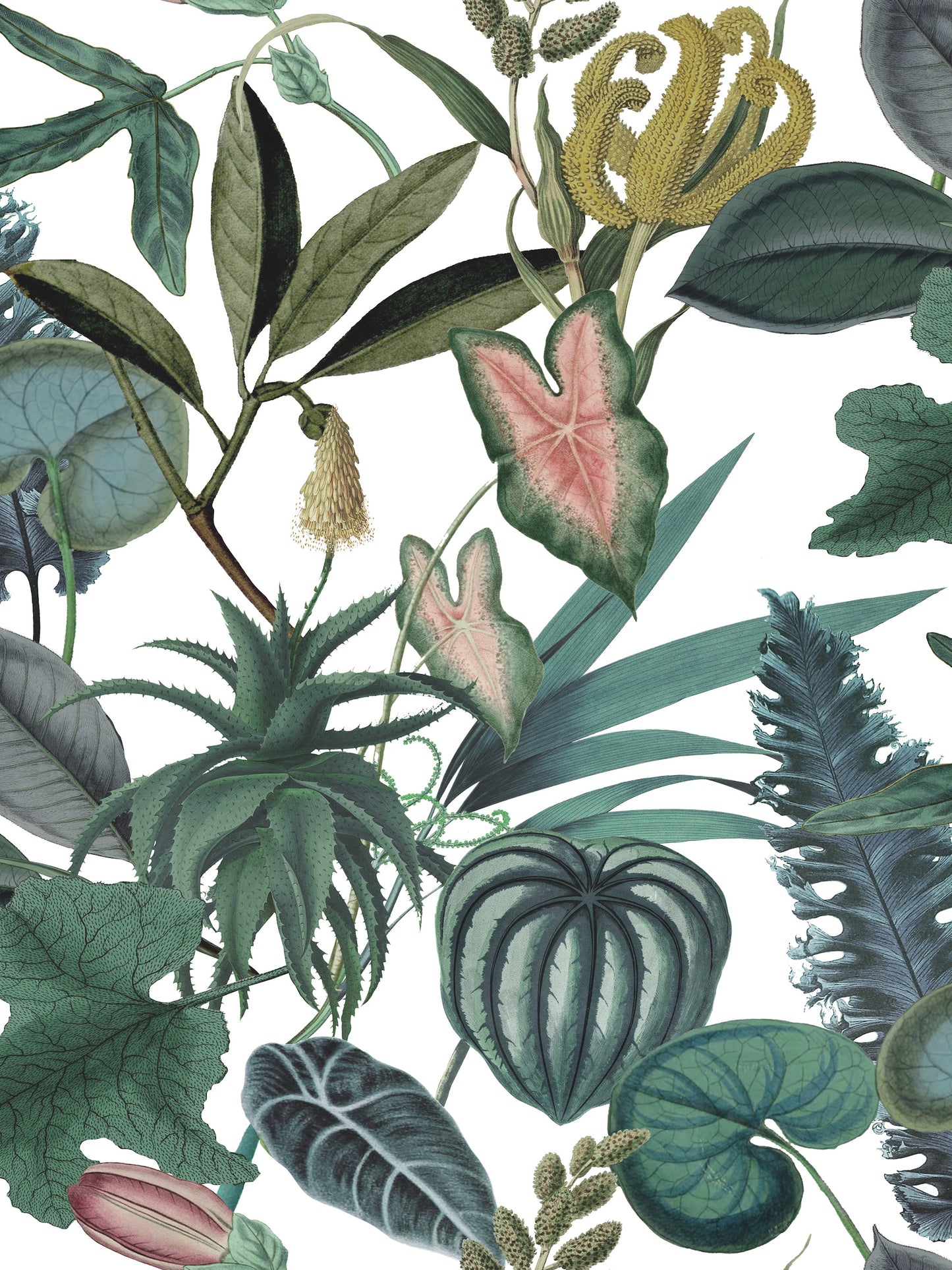 York Wallcoverings RoomMates Tropical Green Peel and Stick Wallpaper Tropical Ocean Greens  Wallpaper - RMK12314RL