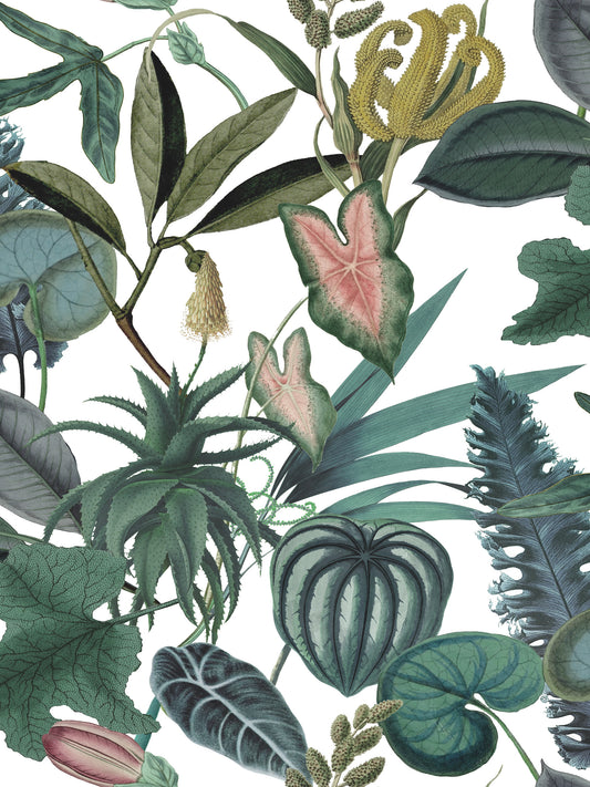 York Wallcoverings RoomMates Tropical Green Peel and Stick Wallpaper Tropical Ocean Greens  Wallpaper - RMK12314RL