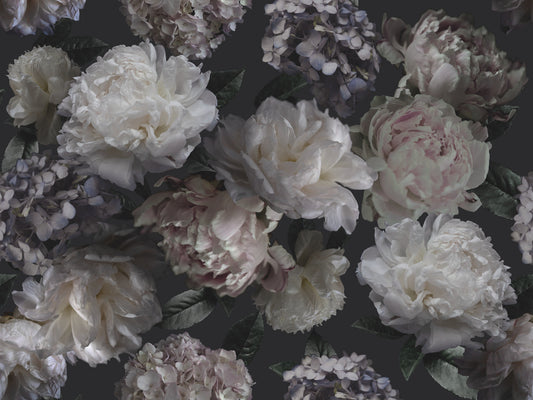 York Wallcoverings RoomMates Moonlit Garden Peel and Stick Wall Mural Whimsical Botanical Blacks  Wallpaper - RMK12322M