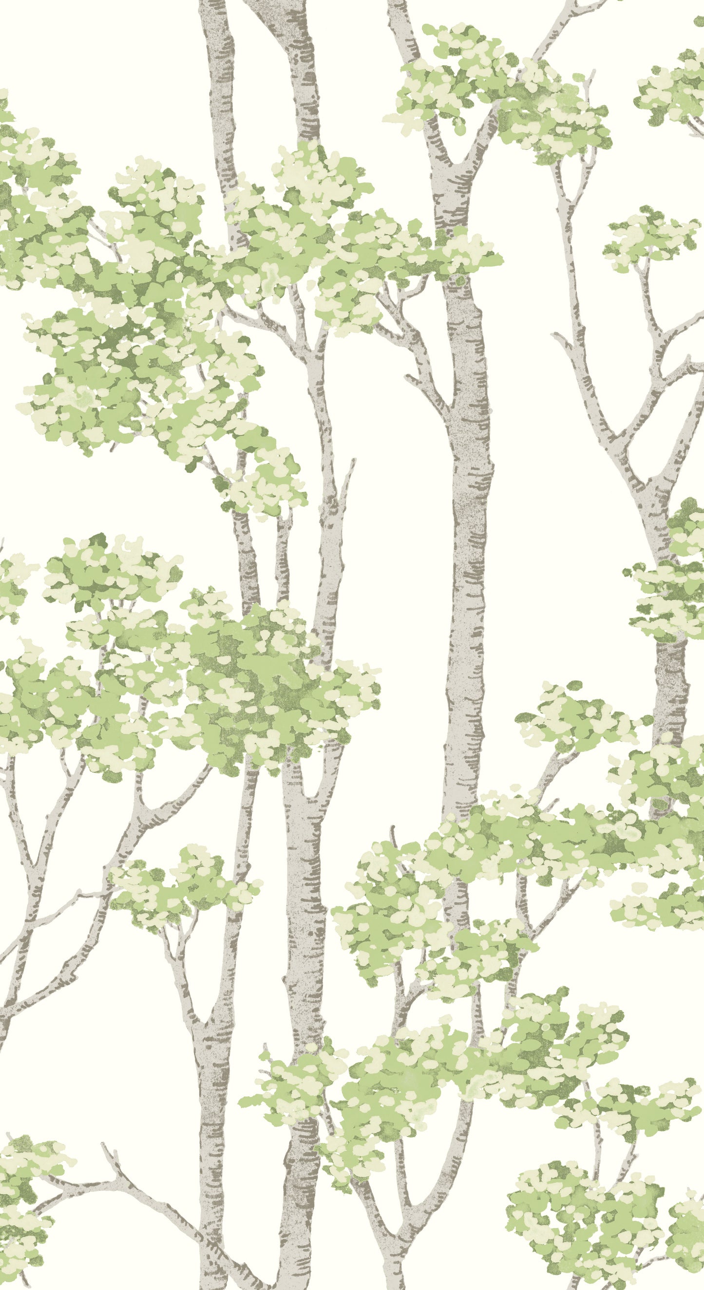 York Wallcoverings RoomMates Birch Grove Green Peel and Stick Wallpaper  Botanical Greens  Wallpaper - RMK12342PLW