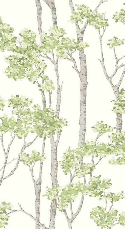 York Wallcoverings RoomMates Birch Grove Green Peel and Stick Wallpaper  Botanical Greens  Wallpaper - RMK12342PLW