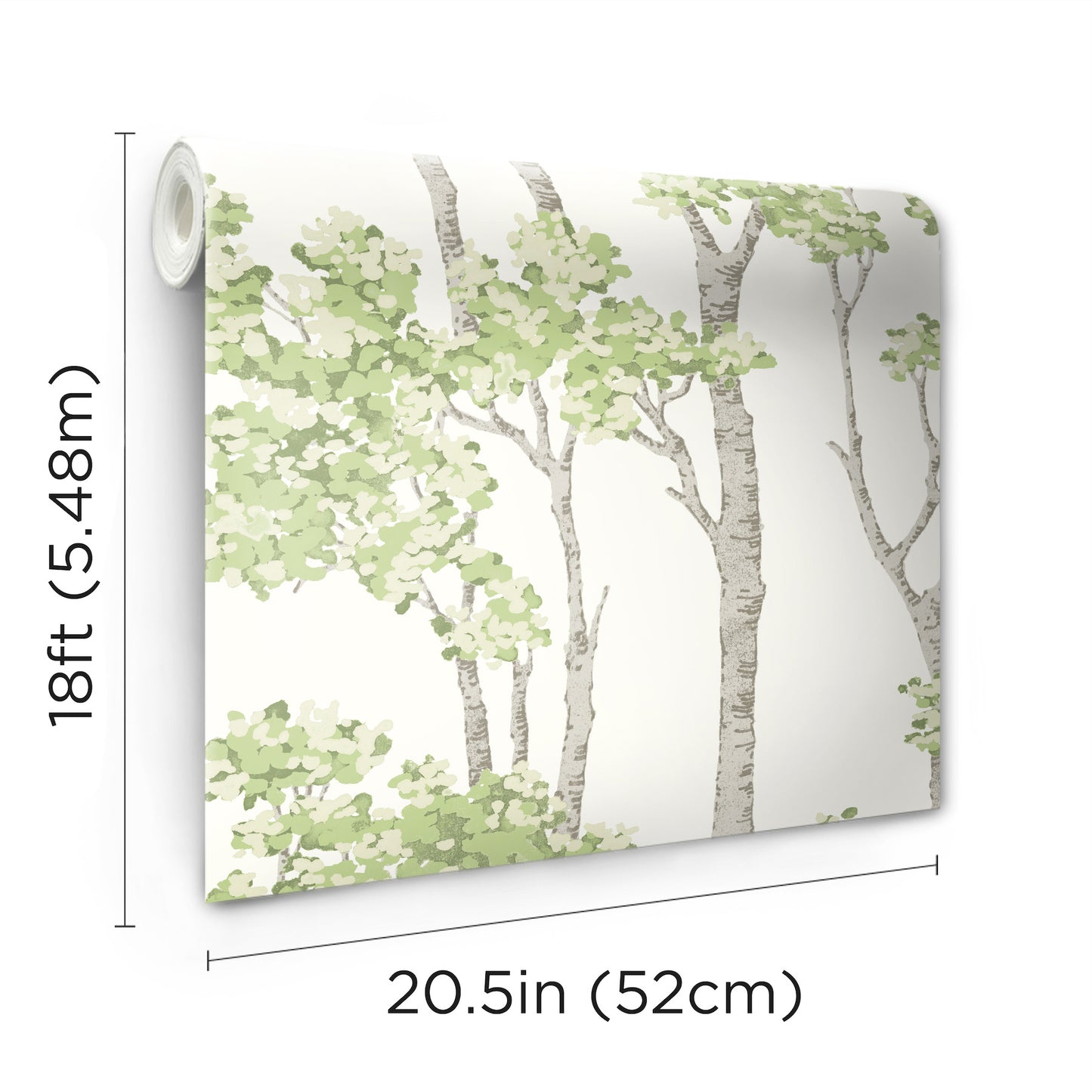 York Wallcoverings RoomMates Birch Grove Green Peel and Stick Wallpaper  Botanical Greens  Wallpaper - RMK12342PLW
