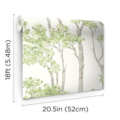 York Wallcoverings RoomMates Birch Grove Green Peel and Stick Wallpaper  Botanical Greens  Wallpaper - RMK12342PLW