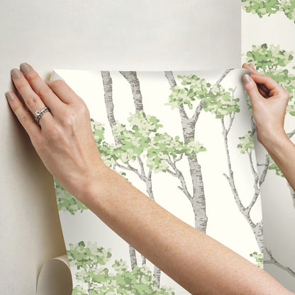 York Wallcoverings RoomMates Birch Grove Green Peel and Stick Wallpaper  Botanical Greens  Wallpaper - RMK12342PLW