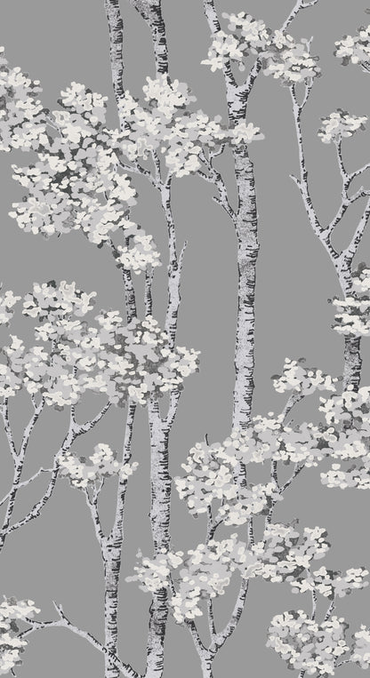 York Wallcoverings RoomMates Birch Grove Grey Peel and Stick Wallpaper  Botanical Greys  Wallpaper - RMK12343PLW