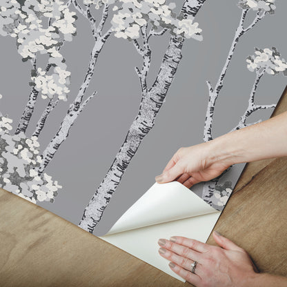 York Wallcoverings RoomMates Birch Grove Grey Peel and Stick Wallpaper  Botanical Greys  Wallpaper - RMK12343PLW