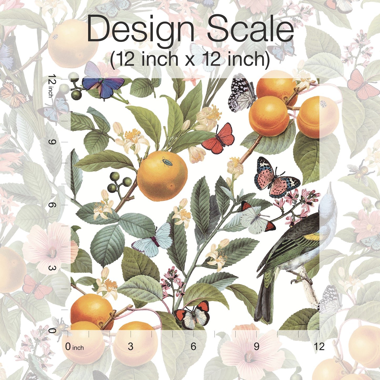 York Wallcoverings RoomMates Citrus White Peel and Stick Wallpaper Kitchen and Bath Food and Drink Whites and Off-Whites  Wallpaper - RMK12345PL