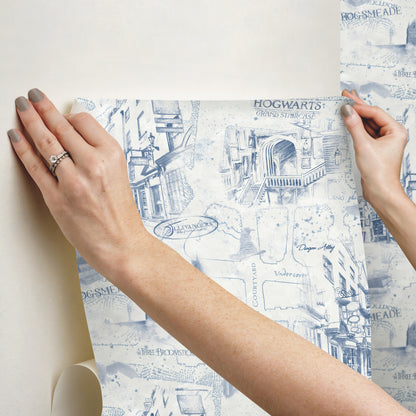 York Wallcoverings RoomMates Harry Potter Map Blue Peel and Stick Wallpaper Whimsical Licensed Blues  Wallpaper - RMK12355PL