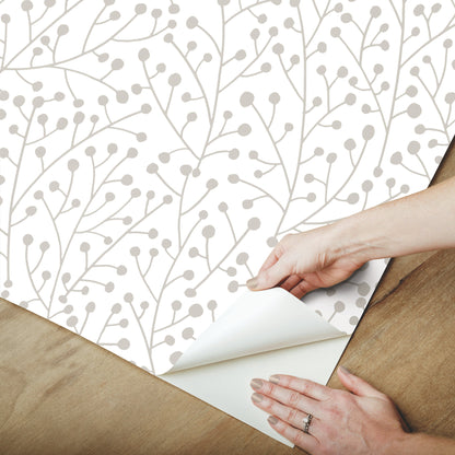 York Wallcoverings RoomMates Cat Coquillette Berry Branches Taupe Peel and Stick Wallpaper  Nature Browns  Wallpaper - RMK12368PL