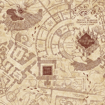 York Wallcoverings RoomMates Harry Potter Marauder's Map Peel and Stick Wallpaper Vintage Maps Neutrals  Wallpaper - RMK12435RL
