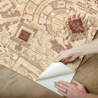 York Wallcoverings RoomMates Harry Potter Marauder's Map Peel and Stick Wallpaper Vintage Maps Neutrals  Wallpaper - RMK12435RL