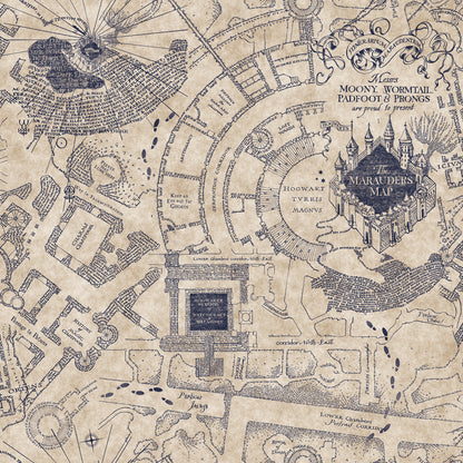 York Wallcoverings RoomMates Harry Potter Marauder's Map Blue Peel and Stick Wallpaper Kids Licensed Blues  Wallpaper - RMK12436RL