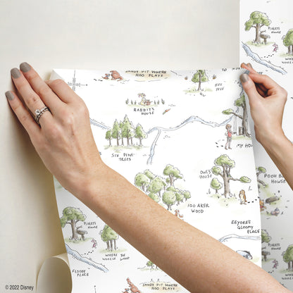 York Wallcoverings RoomMates Winnie The Pooh 100 Acre Wood Map Peel and Stick Wallpaper  Licensed Multicolor  Wallpaper - RMK12440RL
