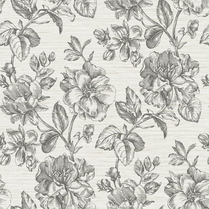York Wallcoverings RoomMates Flower Girl Charcoal Peel and Stick Wallpaper Modern Botanical Greys  Wallpaper - RMK12519RL
