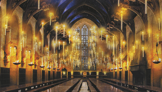 York Wallcoverings RoomMates Harry Potter Great Hall Mural  Licensed Multicolor  Wallpaper - RMK12541M