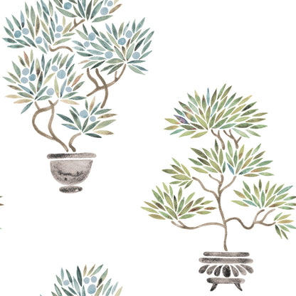 York Wallcoverings RoomMates Cat Coquillette Bonsai Green Peel and Stick Wallpaper  Botanical Greens  Wallpaper - RMK12646RL