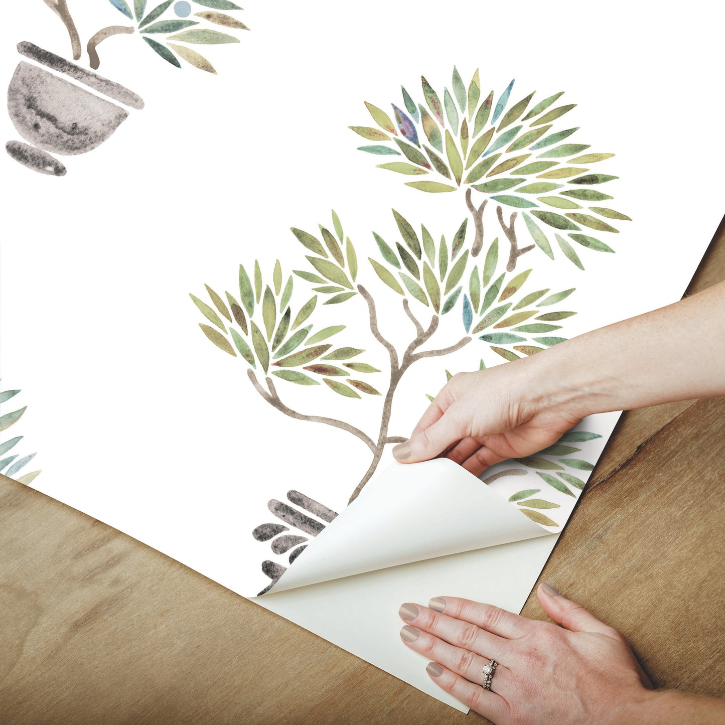 York Wallcoverings RoomMates Cat Coquillette Bonsai Green Peel and Stick Wallpaper  Botanical Greens  Wallpaper - RMK12646RL