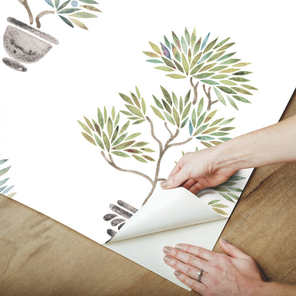 York Wallcoverings RoomMates Cat Coquillette Bonsai Green Peel and Stick Wallpaper  Botanical Greens  Wallpaper - RMK12646RL