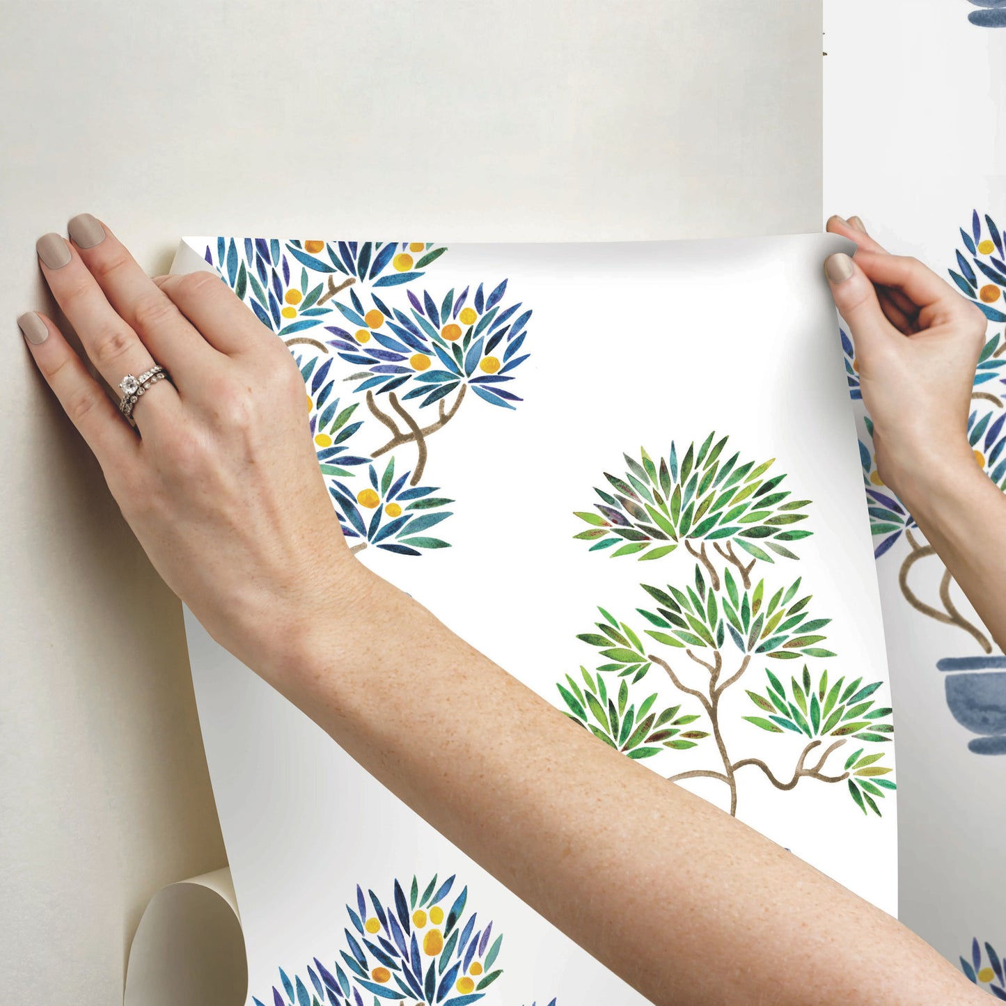 York Wallcoverings RoomMates Cat Coquillette Bonsai Green Peel and Stick Wallpaper  Botanical Greens  Wallpaper - RMK12647RL