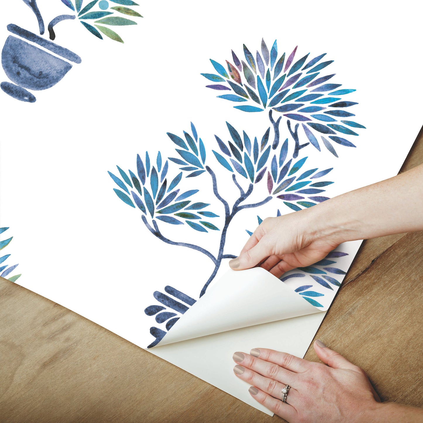 York Wallcoverings RoomMates Cat Coquillette Bonsai Blue Peel and Stick Wallpaper  Botanical Blues  Wallpaper - RMK12648RL