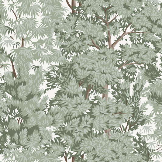 York Wallcoverings RoomMates Ardian Green Peel and Stick Wallpaper Traditional Trees Greens  Wallpaper - RMK12661RL