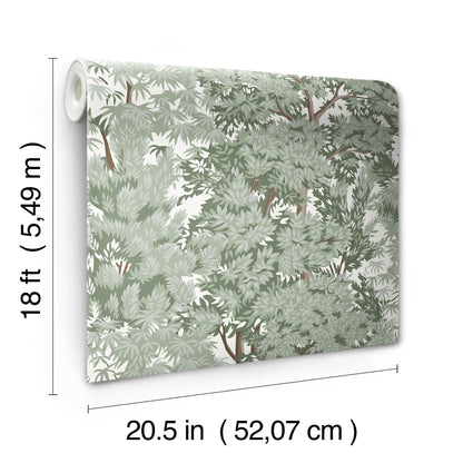 York Wallcoverings RoomMates Ardian Green Peel and Stick Wallpaper Traditional Trees Greens  Wallpaper - RMK12661RL