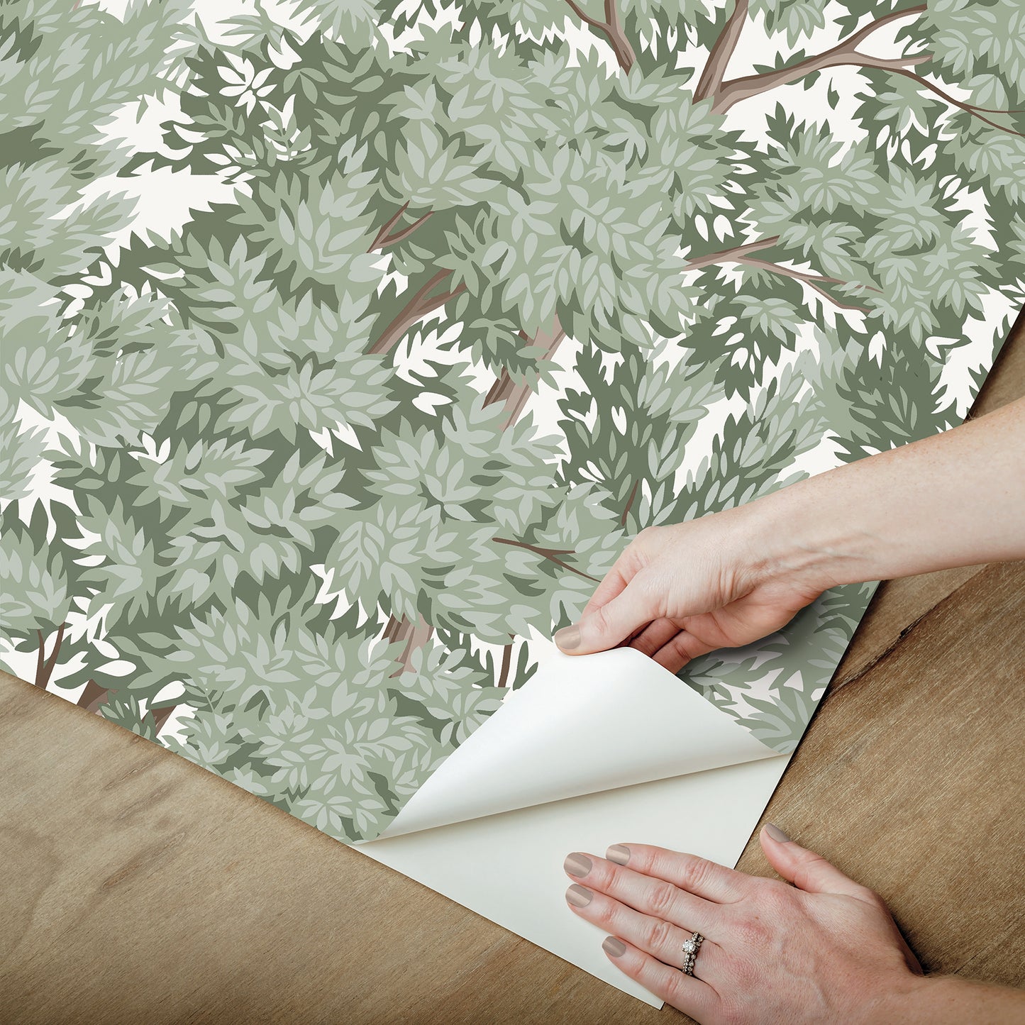 York Wallcoverings RoomMates Ardian Green Peel and Stick Wallpaper Traditional Trees Greens  Wallpaper - RMK12661RL