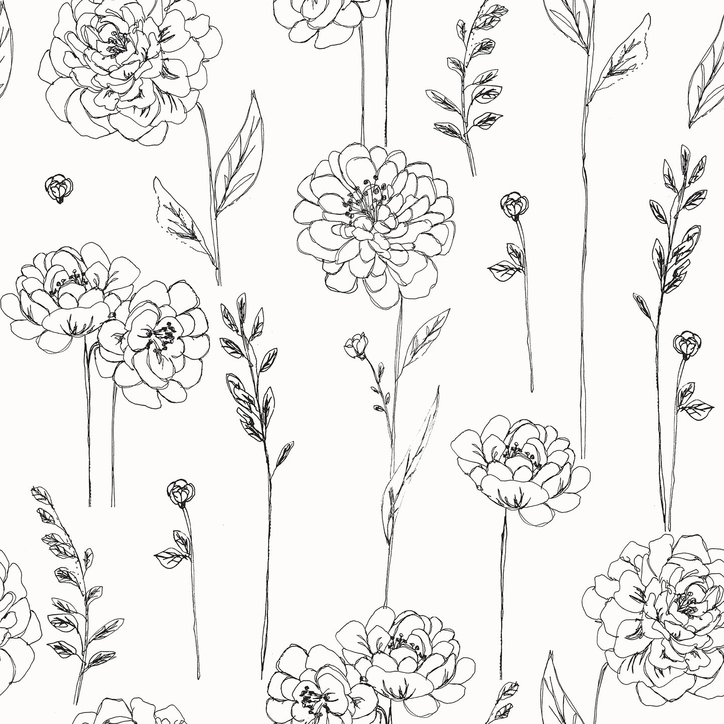 York Wallcoverings RoomMates Maisey Black Peel and Stick Wallpaper Country Botanical Whites and Off-Whites  Wallpaper - RMK12687PLW